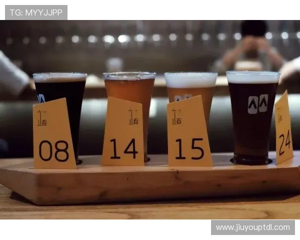 九游滚球盘用户体验提升指南让你玩得更尽兴更专业